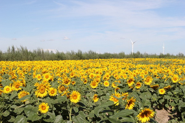 qy千亿-千亿(国际)唯一官方网站