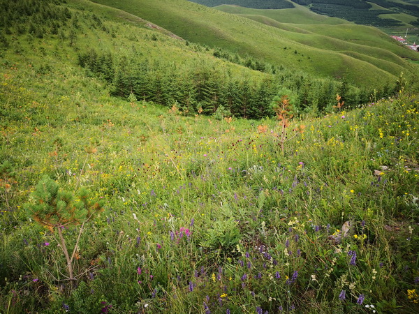 qy千亿-千亿(国际)唯一官方网站