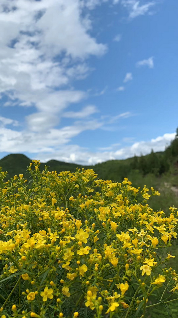 qy千亿-千亿(国际)唯一官方网站