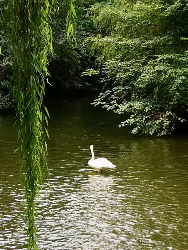 qy千亿-千亿(国际)唯一官方网站