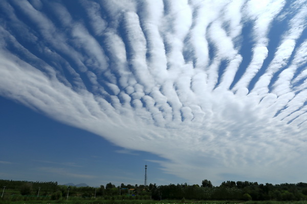 qy千亿-千亿(国际)唯一官方网站