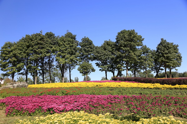 qy千亿-千亿(国际)唯一官方网站