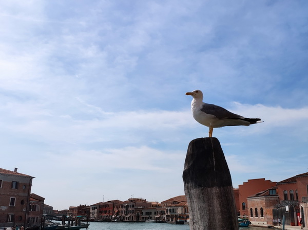 qy千亿-千亿(国际)唯一官方网站