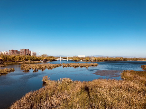 qy千亿-千亿(国际)唯一官方网站