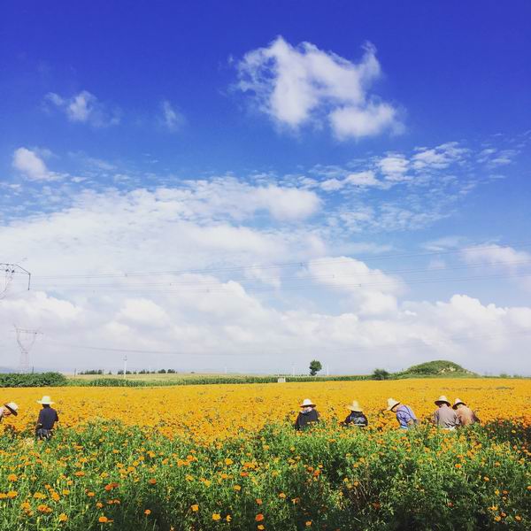 qy千亿-千亿(国际)唯一官方网站