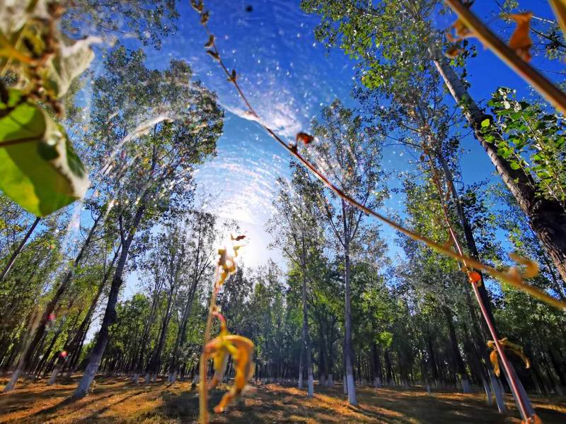 qy千亿-千亿(国际)唯一官方网站