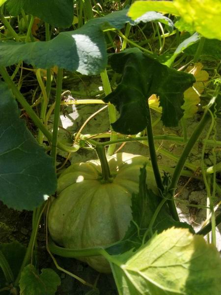 qy千亿-千亿(国际)唯一官方网站