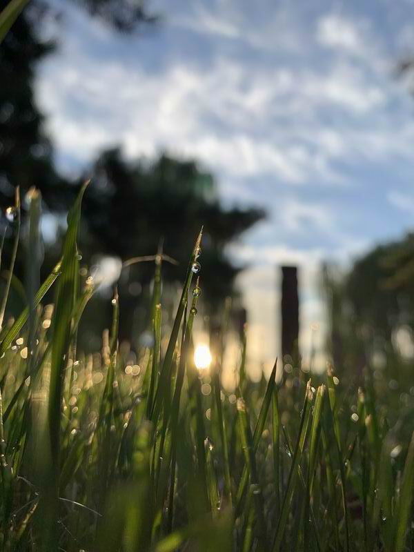 qy千亿-千亿(国际)唯一官方网站