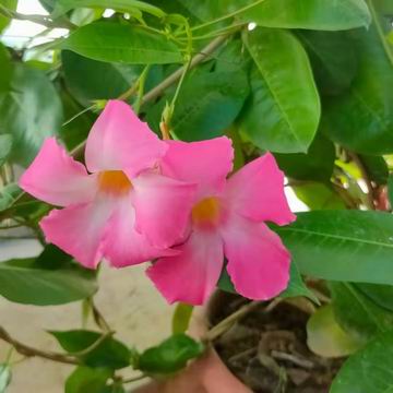 qy千亿-千亿(国际)唯一官方网站