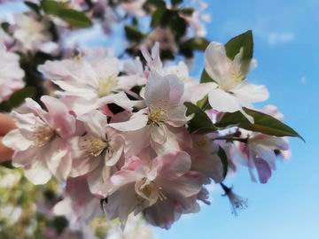 qy千亿-千亿(国际)唯一官方网站