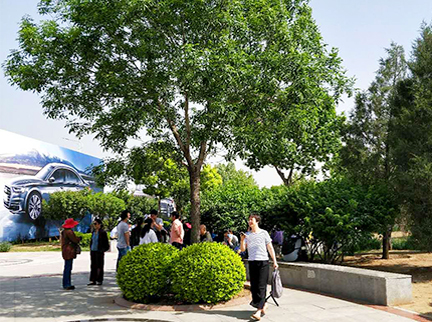 qy千亿-千亿(国际)唯一官方网站