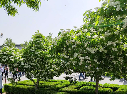 qy千亿-千亿(国际)唯一官方网站