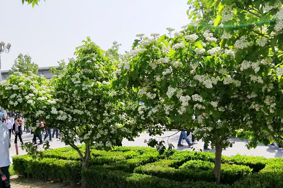 qy千亿-千亿(国际)唯一官方网站