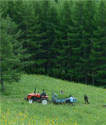 qy千亿-千亿(国际)唯一官方网站