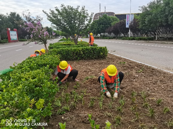 qy千亿-千亿(国际)唯一官方网站