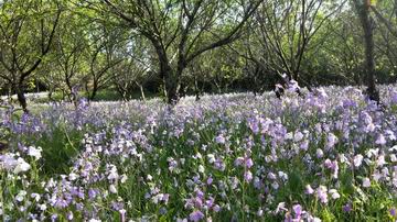 qy千亿-千亿(国际)唯一官方网站